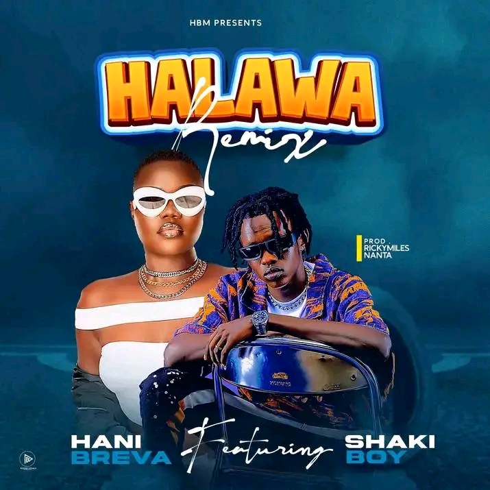 Halawa by Shaki Boy Ft Hani Breva remix